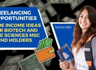 Freelancing Jobs For Msc & PhD