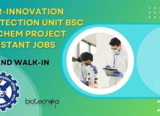 CSIR-Innovation Protection Unit Jobs