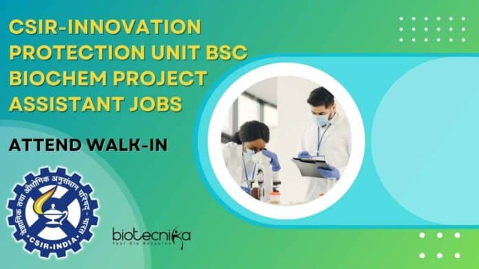 CSIR-Innovation Protection Unit Jobs