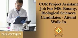 CUR Project Assistant Job