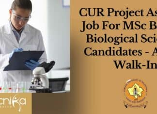 CUR Project Assistant Job
