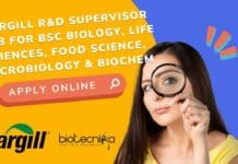 Cargill R&D Supervisor Job