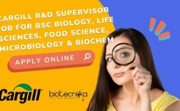 Cargill R&D Supervisor Job