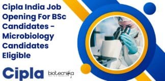 Cipla India Job Opening