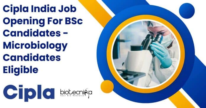 Cipla India Job Opening