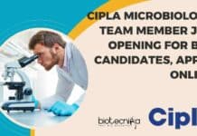 Cipla Microbiology Team Member Job Opening For BSc Candidates, Apply Online Cipla Microbiology Team Member