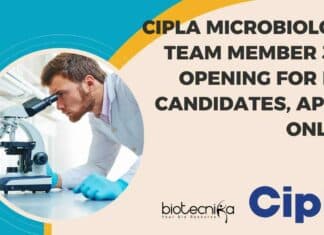 Cipla Microbiology Team Member