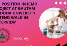JRF Position In ICMR Project at Gautam Buddha University, Attend Walk-In-Interview Gautam Buddha University JRF