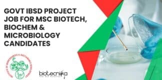 Govt IBSD Project Job