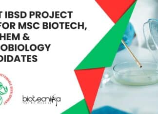 Govt IBSD Project Job