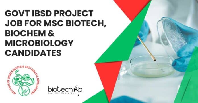 Govt IBSD Project Job