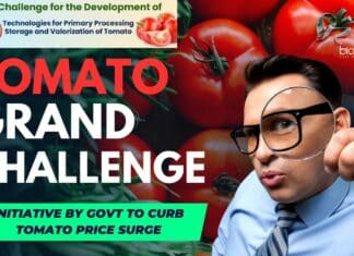 Tomato Grand Challenge