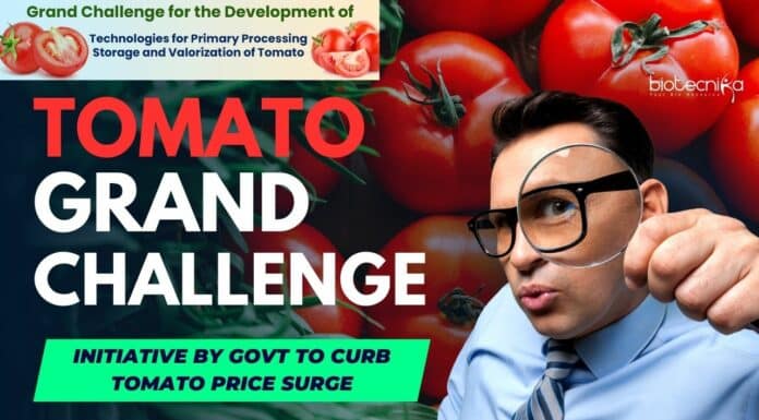 Tomato Grand Challenge