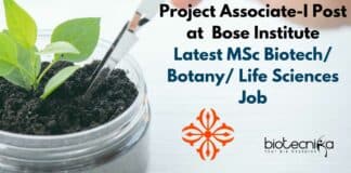 Bose Institute Project Job