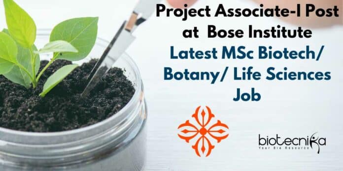 Bose Institute Project Job