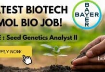 Bayer MSc Biotech