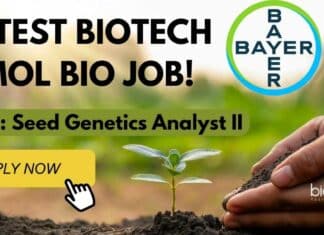 Bayer MSc Biotech