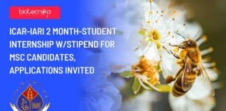 IARI Student Internship 2023