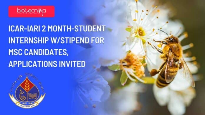 IARI Student Internship 2023