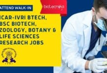 ICAR-IVRI BTech, BSc Biotech, Zoology, Botany & Life Sciences Research Jobs – Attend Walk-In ICAR-IVRI BTech BSc