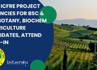 ICFRE Project Vacancies For