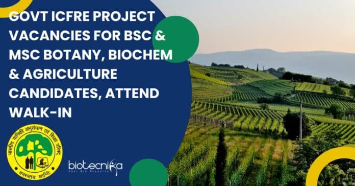 ICFRE Project Vacancies For