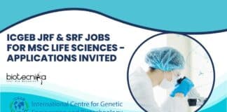 ICGEB JRF & SRF Jobs