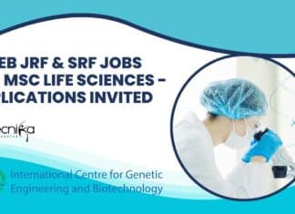 ICGEB JRF & SRF Jobs