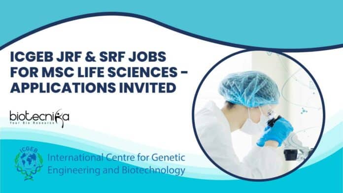 ICGEB JRF & SRF Jobs