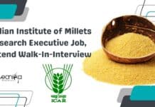 Indian Institute of Millets Research Executive Job, Attend Walk-In-Interview IIMR Research Executive Job