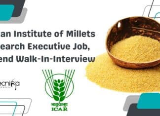 IIMR Research Executive Job