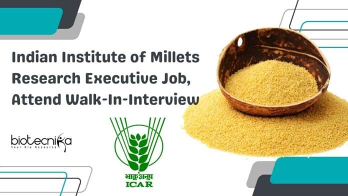 IIMR Research Executive Job