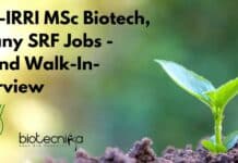 IIOR-IRRI MSc Biotech, Botany SRF Jobs – Attend Walk-In-Interview IIOR-IRRI MSc Biotech