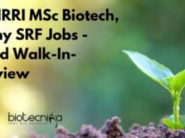 IIOR-IRRI MSc Biotech