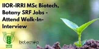IIOR-IRRI MSc Biotech