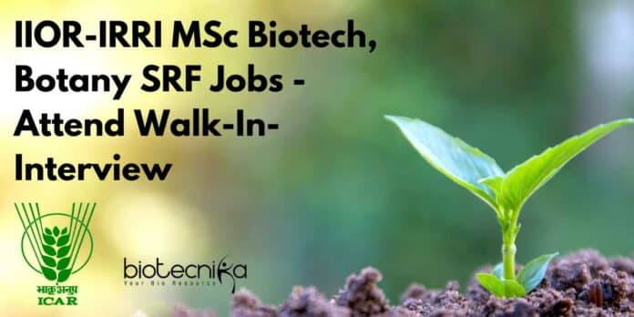 IIOR-IRRI MSc Biotech