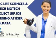MSc Life Sciences & MTech Biotech Project JRF Job Opening at IISER Kolkata IISER Kolkata MTech Biotech