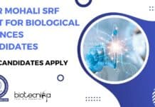 IISER Mohali SRF Post For Biological Sciences Candidates – MSc Candidates Apply IISER Mohali Post Biological