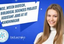 MSc, MTech Biotech, Biological Sciences Project Assistant Jobs at IIT Gandhinagar IIT Gandhinagar Project Job