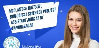 IIT Gandhinagar Project Job