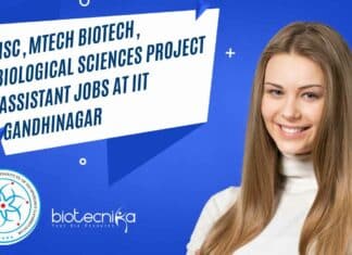 IIT Gandhinagar Project Job
