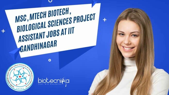 IIT Gandhinagar Project Job
