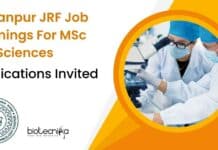 IIT Kanpur JRF Jobs