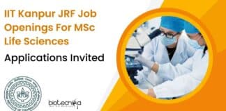IIT Kanpur JRF Jobs
