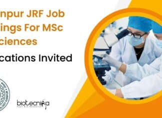 IIT Kanpur JRF Jobs