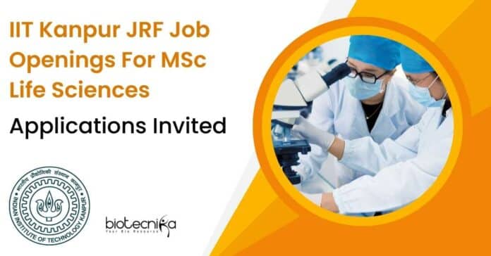 IIT Kanpur JRF Jobs