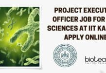 Project Executive Officer Job For Life Sciences at IIT Kanpur, Apply Online IIT Kanpur Project Officer