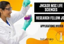 JNCASR MSc Life Sciences Research Fellow Job – Applications Invited JNCASR MSc Life Sciences