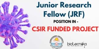 JRF Job Opening at