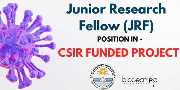 JRF Job Opening at